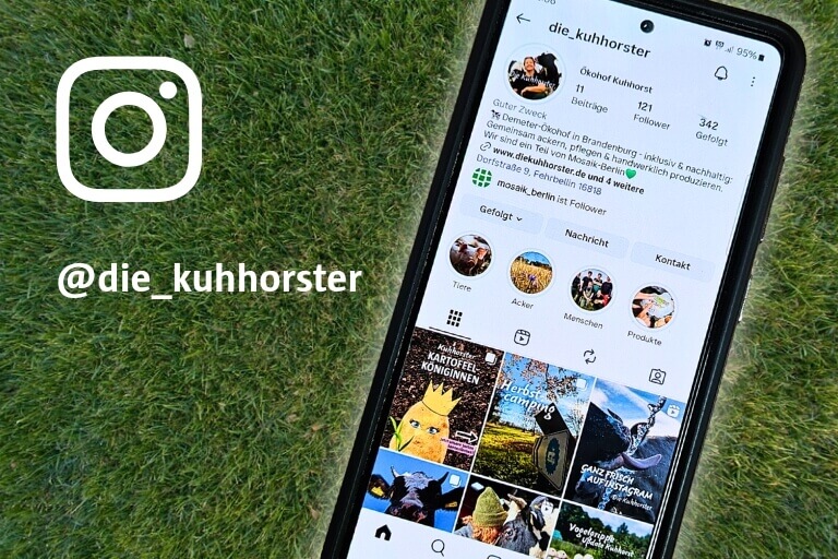 Wir sind bei Instagram!